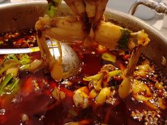 -蛙两只美蛙鱼头火锅(恒茂店)