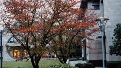 -苏州太湖国际会议中心·香山酒店·宴会厅