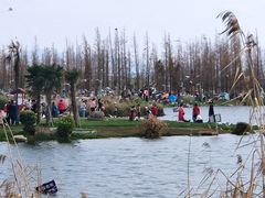 -呈贡滇池生态湿地公园