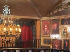 -雪灵魔法世界SHELLY’S TAROT(大良桂畔里店)