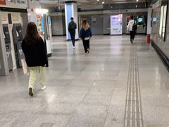 -陆家浜路(地铁站)