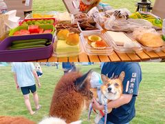 -南京外国语学校(仙林分校西区)