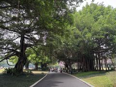 -南宁南湖公园