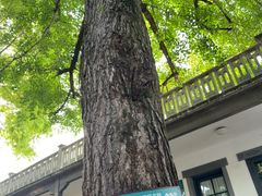 -蒋氏故居