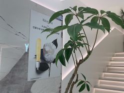 -LJOY丽锦造型·烫发染发