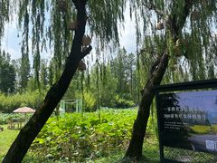 -百翠山居.家飨餐厅