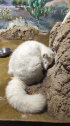 -Zoolung Zoolung动物主题公园(海信广场店)