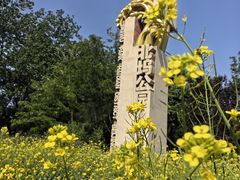 -北坞公园