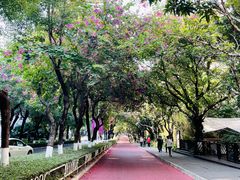 门面-T館·花园艺术餐厅