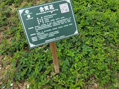-广西壮族自治区药用植物园