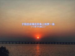 -宝安西湾红树林湿地公园