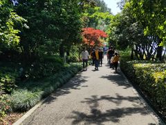 -金鸡湖桃花岛