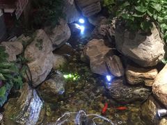 -清真·京华源铜锅涮肉(丰庆店)