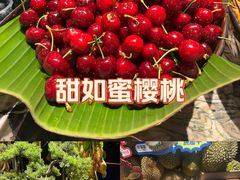 -雍容荟帝王蟹活龙虾展台自助(IFS黑金店)