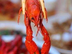 油焖大虾-老瓦房(六堰店)