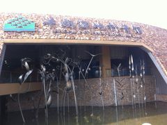 -洋湖国家湿地公园