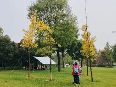-洨河生态公园