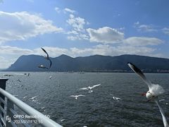 -海埂大坝