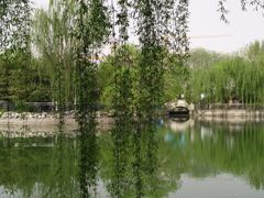 -黄村公园