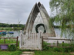 -大塘金香草谷