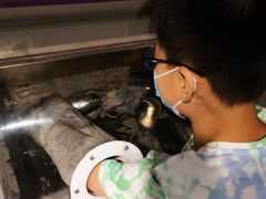 -陕西科学技术馆