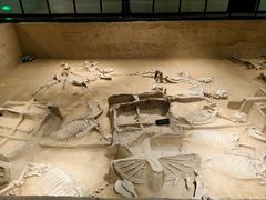 -洛阳周王城天子驾六博物馆