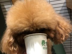 -费大厨辣椒炒肉(万家丽一店)