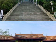 -铁山坪森林公园