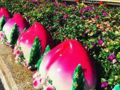 -三亚南山文化旅游区