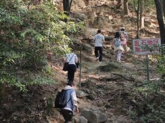 -火炉山森林公园