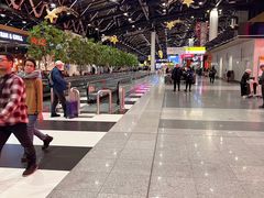 -谢列梅捷沃国际机场