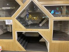 -Lilliput粒粒堡亲子餐厅(置汇旭辉店)