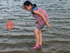-碧海金沙