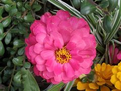 -上海市惠民中学