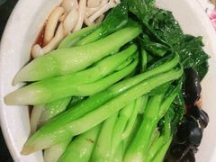 -新白鹿餐厅(悠迈生活广场店)
