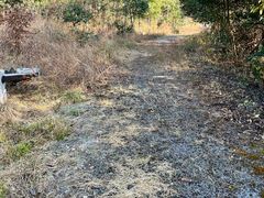 -南京市无想山景区