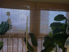 -施奈儿.洗头頭療.按摩SPA.采耳(上梅林店)