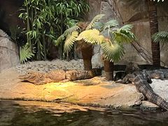 -上海海洋水族馆