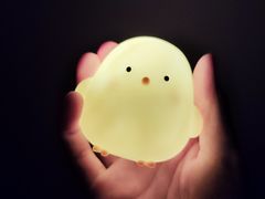 -同仁四季椰子鸡(罗湖国贸店)
