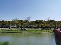 -嘉北郊野公园