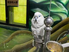 -海合安武汉极地海洋公园