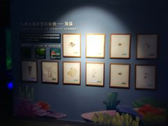 -石家庄海洋公园