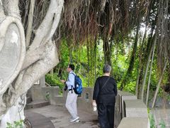 -胡里山炮台