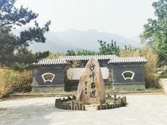 -阳台山自然风景区