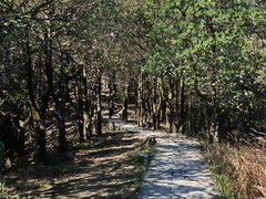 -梧桐山风景名胜区