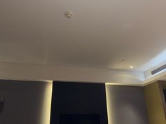 -南京禄口机场雅高铂尔曼大酒店