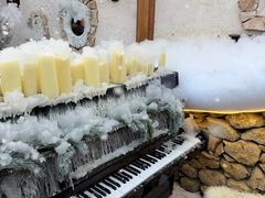 -Lamant Manor已闻花名關於藍