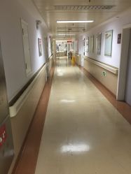-中国福利会国际和平妇幼保健院(徐汇院区)