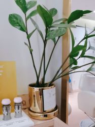 -LJOY丽锦造型·烫发染发