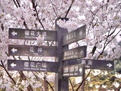 -南山植物园
